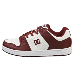 DC Shoes MANTECA 4 SN Men Skate Trainers in White Aurora